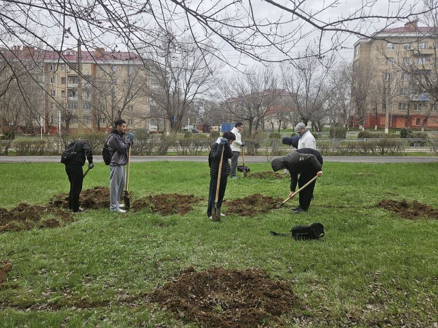 Студенты факультета управления и права приняли участие в общегородском субботнике